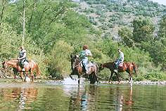 Promenade à cheval